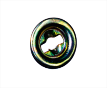 SEGURO DE ZAPATA (CHAPITA)